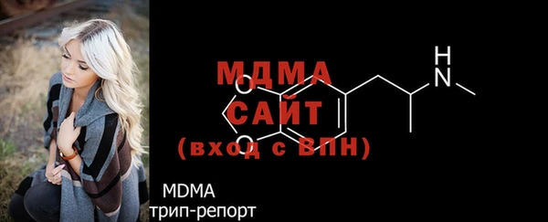 стаф Алексин