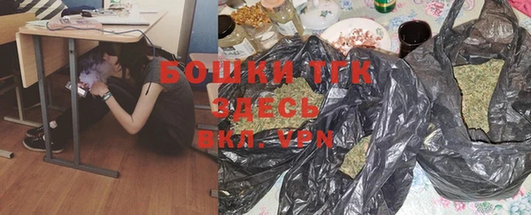 стаф Алексин
