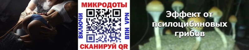 Галлюциногенные грибы Magic Shrooms  OMG сайт  Мостовской  где найти  